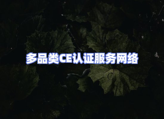 CE认证项目服务